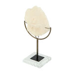 Home Accent Coral image number 1
