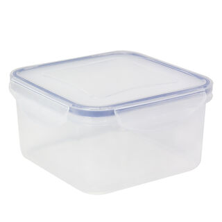 Alberto Plastic Food Saver Square Shape V:0.7L Blue Lid