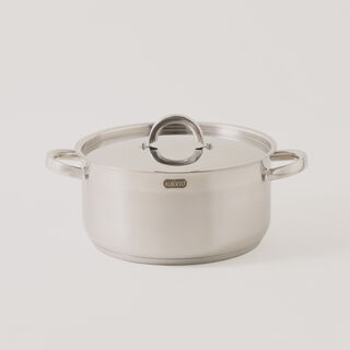 Alberto stainless steel 11pcs cookware set silver body gold handles