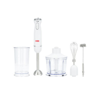 Alberto Stainless steel 1000W 4 in 1 hand blender