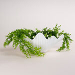Homez off white resin decorative shell 41.5*34.4*17.6 cm image number 4