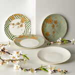 Harmony 4 Pcs Set 7"Dessert Plate New Bone image number 6