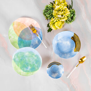 16 Pcs Clr Prds Dinner Set 