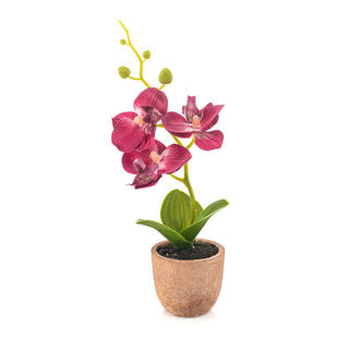 Homez indoor artificial mini phalaenopsis in pot, fuchsia, 20cm