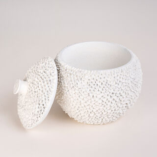 Homez off white resin decorative box 26*26*25 cm