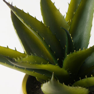 Homez Artificial Aloe Vera In A Gold Pot 25*32Cm