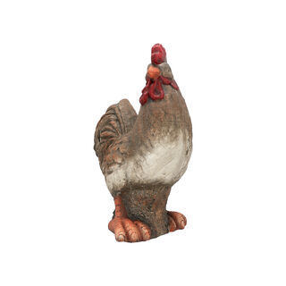 Mgo Rooster