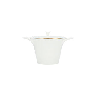 La Mesa gold bone porcelain dinner set 47 pcs
