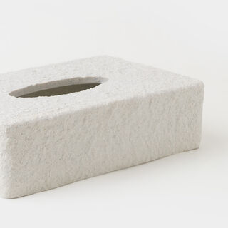 Homez polyresin tissue box, off white 22*12.2*5.2cm