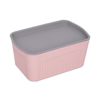 Storage Containe 2L Pudra 