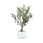 Aritificial olive plant in a Ceramic pot 35.56*35.56*58.42 cm image number 1