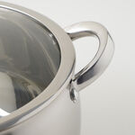 Alberto stainless steel pot with lid, silver 3.9L image number 5