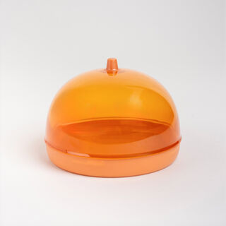 Plastic onion saver