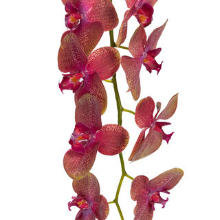 Artificial Flower Orchid (Real Touch)