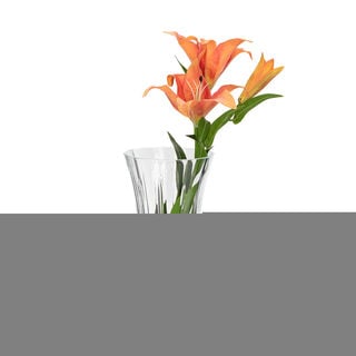 Glass Vase Opera Clear