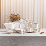 La Mesa gold bone porcelain dinner set 47 pcs image number 0