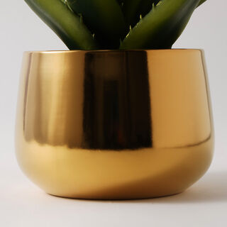Homez Artificial Aloe Vera In A Gold Pot 25*32Cm