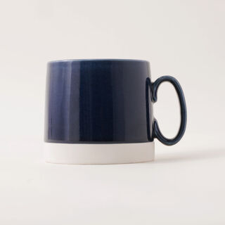 Dallaty Ceramic Mug In Blue