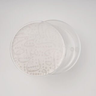 لاميسا عُلب طعام أكريليك، متوسطة، 14*11 سم