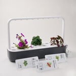 Click & grow indoor smart garden 9 Grey image number 3