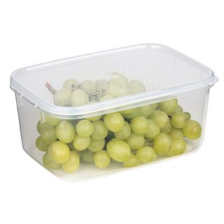 Decor Plastic Food Saver Rectangle Shape V: 1.8 L White Lid ( Tellfresh)