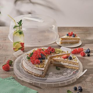 Snips cake holder delice
