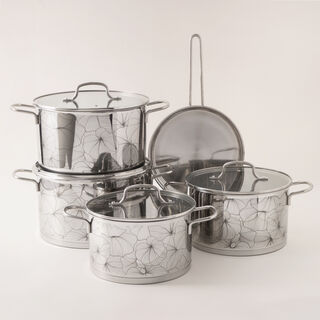 Alberto stainless steel 9pcs pot set with glass covers