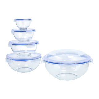 10 Pcs Borosilicate Glass Salad Bowl Set With Lid