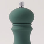 Alberto salt and pepper mill set 6*17.5cm, green image number 3