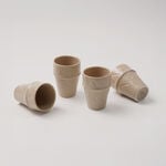 Dallaty Moroccan Tea Cup Sand, 6 Pieces image number 3