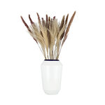 Vase image number 2
