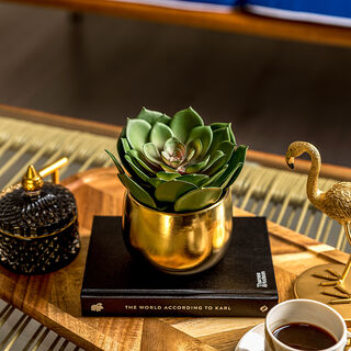 Ceramic Artificial Plant Lotus Succulent In Pot Gold