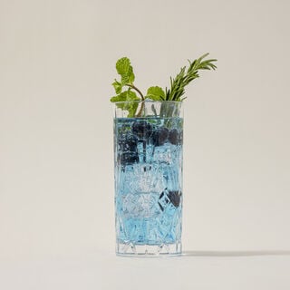 RCR transparent crystal glassware 6 pcs set