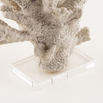 Homez resin baley decorative sculpture 35*20*37.5cm, beige image number 4