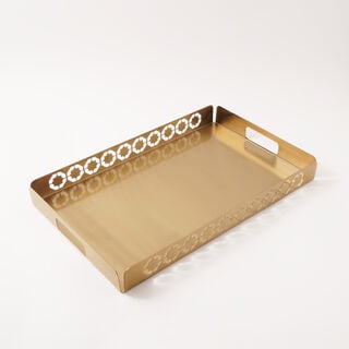 Dallaty steel serving tray 50*31*4.5cm, gold