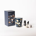 Cedar wood diffuser set with oil and crystals image number 0