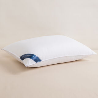 Boutique Blanche Firm Support Cotton Pillow Cloud Filling 50*75Cm White 170Tc Cotton 850Gr