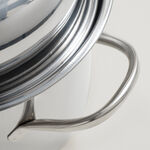Alberto stainless steel roasting pan with rack 42*30.5*12.5cm image number 5