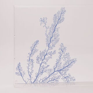 Dallaty acrylic serving tray, 52*40*6 cm