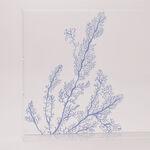 Dallaty acrylic serving tray, 52*40*6 cm image number 2