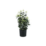 Artificial Eucalyptus Tree In Pot 30*30*45 cm image number 1