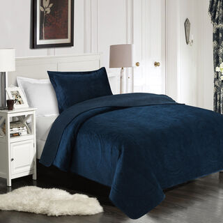 2 Pieces Super Soft Velvet Twin Bed Set