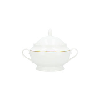 La Mesa gold bone porcelain dinner set 47 pcs