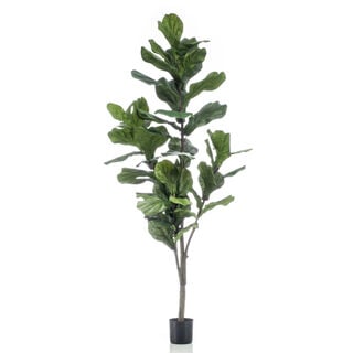 Homez artificial plant ficus lyrata in pot, green 60*60*160cm