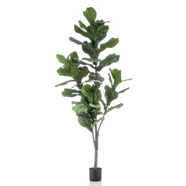 Homez artificial plant ficus lyrata in pot, green 60*60*160cm image number 0
