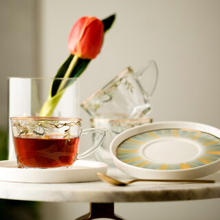 Dallaty transparent glass and porcelain tea cups set 8 pcs