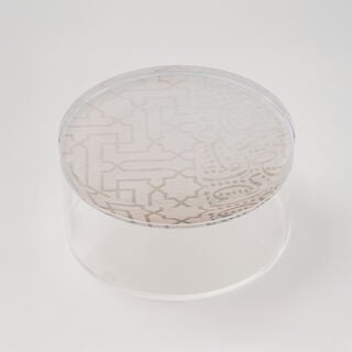 La Mesa Food Containers Acrylic, Large, 21*8.5 Cm