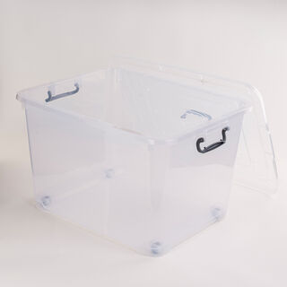 Storage Box with Handle