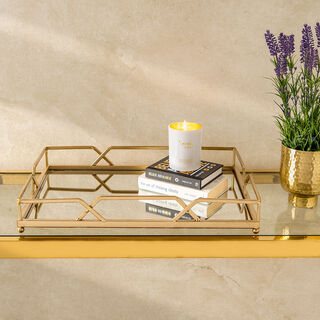 Mirror Tray Metal