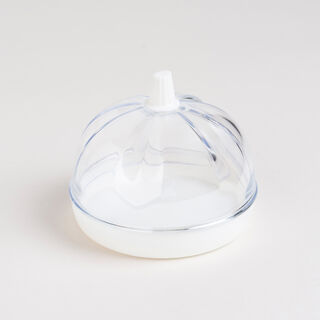 Plastic garlic saver